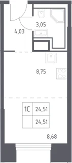 Планировка: Студия 24,5 м² в ЖК «Скай Спутник»